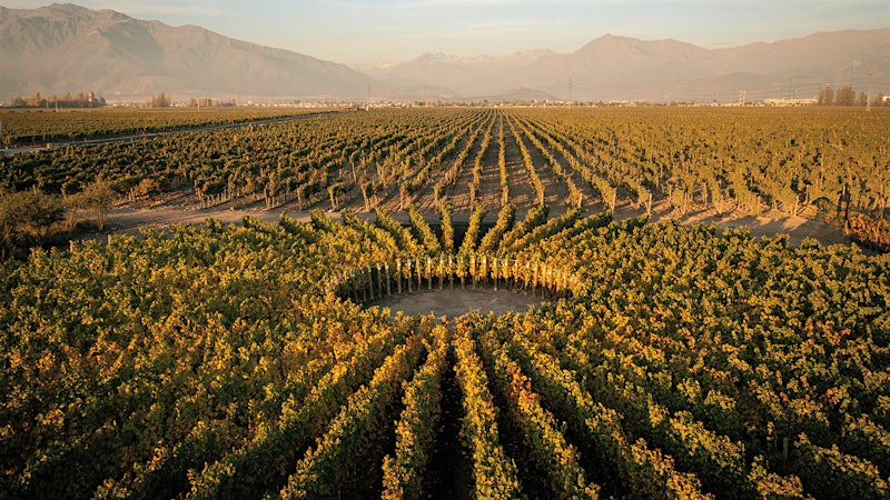 A Benchmark Year in Chile