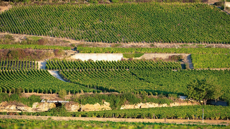 Alphabetical Guide to Red Burgundy